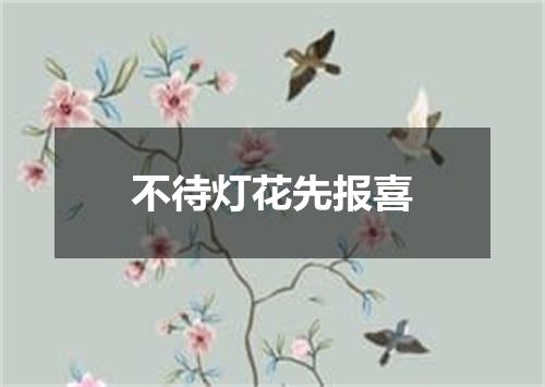不待灯花先报喜