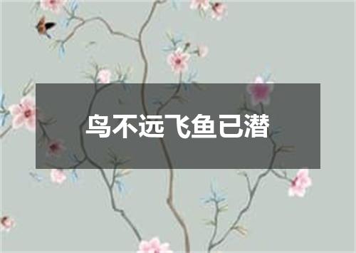 鸟不远飞鱼已潜