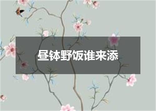 昼钵野饭谁来添