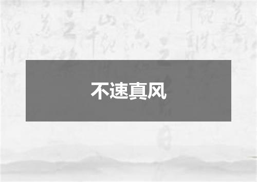 不速真风