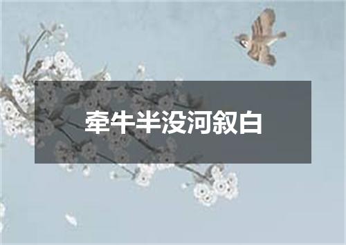 牵牛半没河叙白