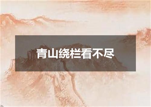 青山绕栏看不尽