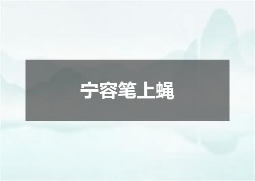 宁容笔上蝇