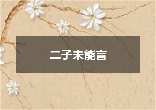 二子未能言