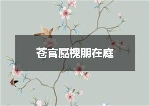 苍官屭槐朋在庭