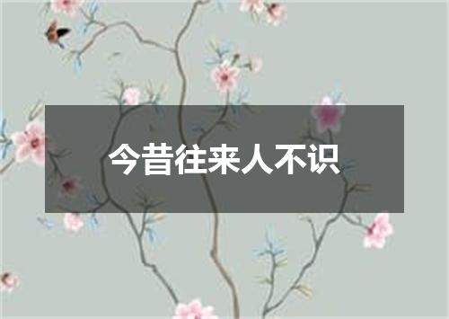 今昔往来人不识