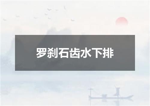 罗刹石齿水下排