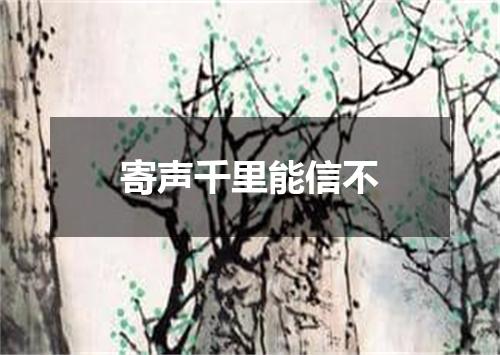 寄声千里能信不