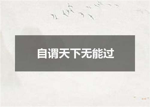 自谓天下无能过
