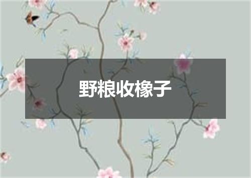 野粮收橡子