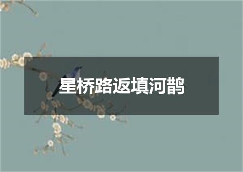 星桥路返填河鹊