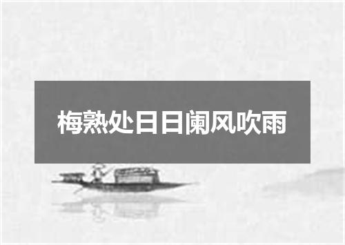 梅熟处日日阑风吹雨