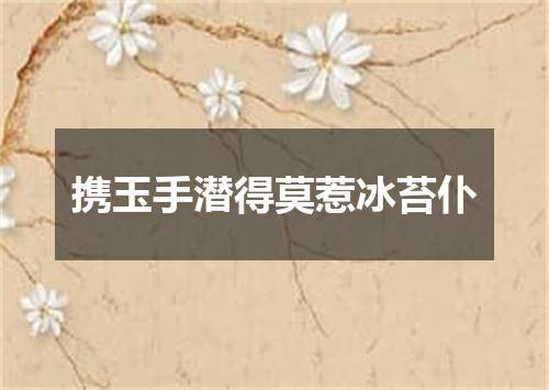 携玉手潜得莫惹冰苔仆