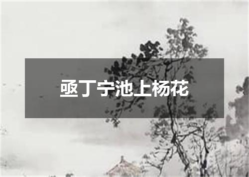 亟丁宁池上杨花