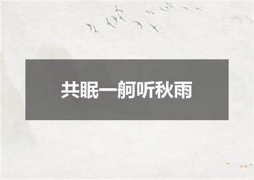 共眠一舸听秋雨
