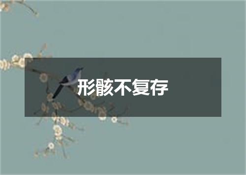 形骸不复存