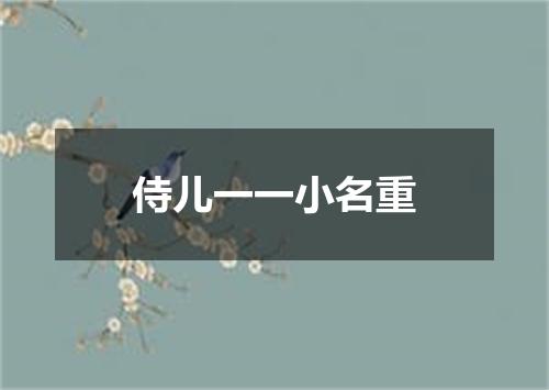 侍儿一一小名重