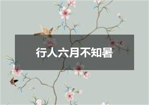 行人六月不知暑