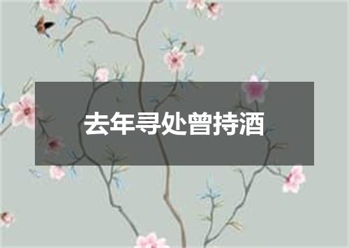 去年寻处曾持酒