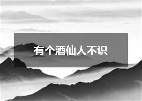 有个酒仙人不识