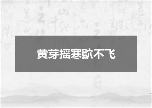 黄芽摇寒鴥不飞