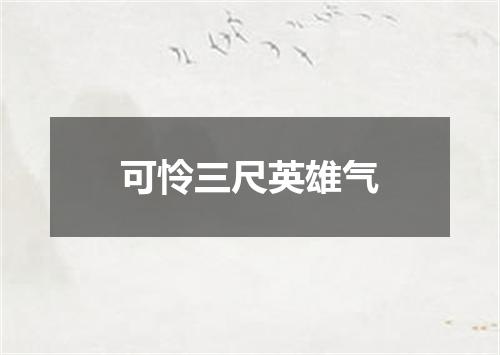 可怜三尺英雄气