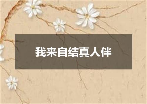 我来自结真人伴