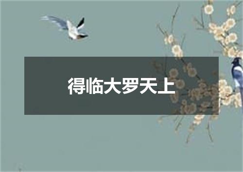 得临大罗天上