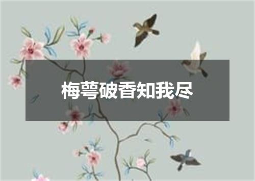 梅萼破香知我尽