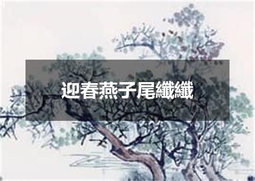 迎春燕子尾纖纖
