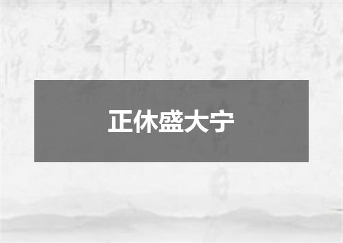 正休盛大宁