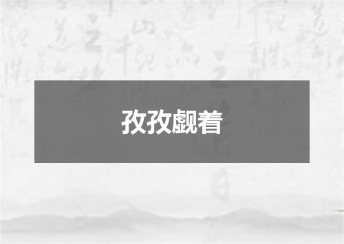 孜孜觑着