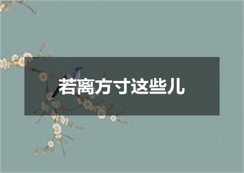 若离方寸这些儿