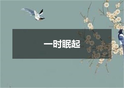 一时眠起