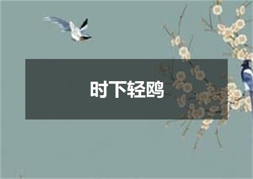时下轻鸥