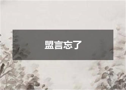盟言忘了