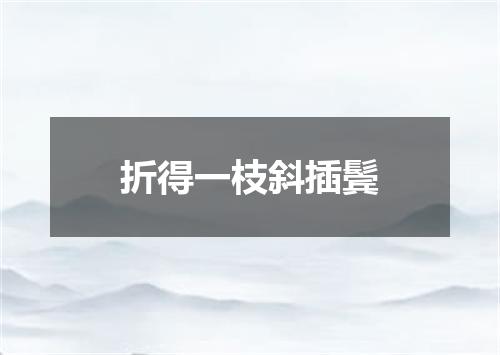 折得一枝斜插鬓
