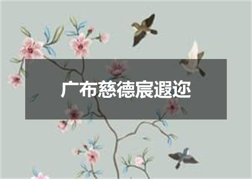 广布慈德宸遐迩