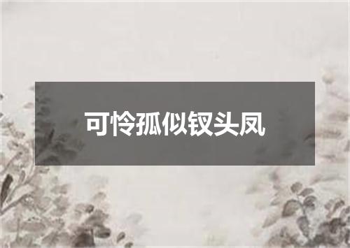 可怜孤似钗头凤