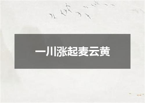 一川涨起麦云黄