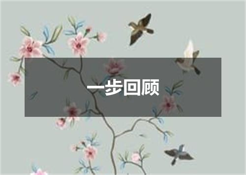 一步回顾