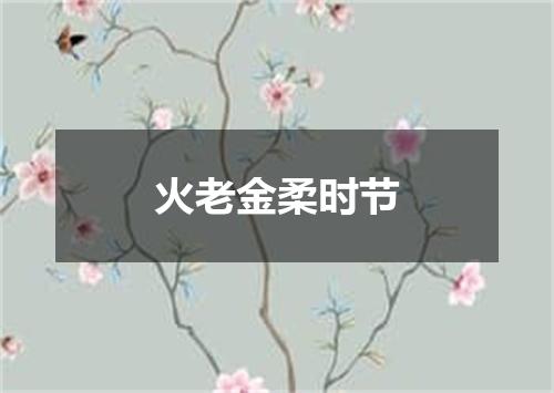 火老金柔时节