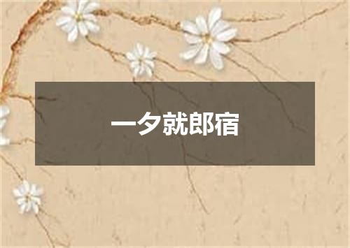一夕就郎宿