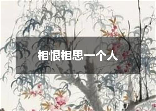 相恨相思一个人