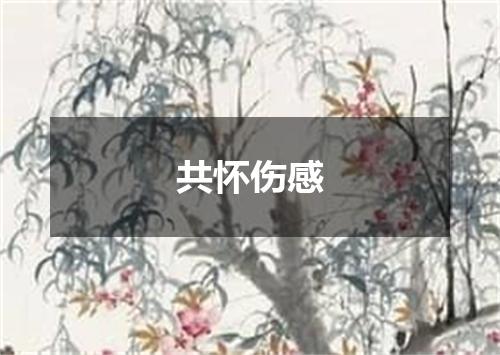 共怀伤感