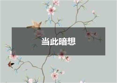 当此暗想