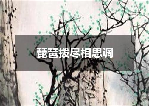 琵琶拨尽相思调