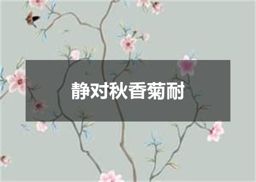 静对秋香菊耐