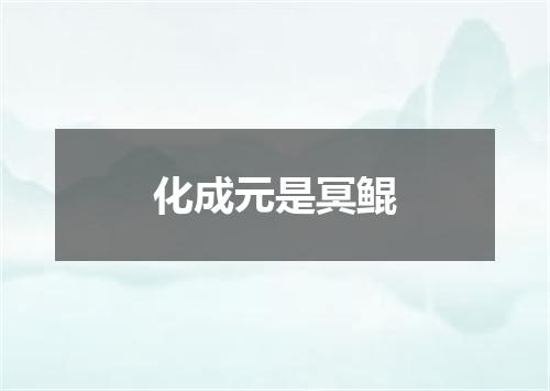 化成元是冥鲲