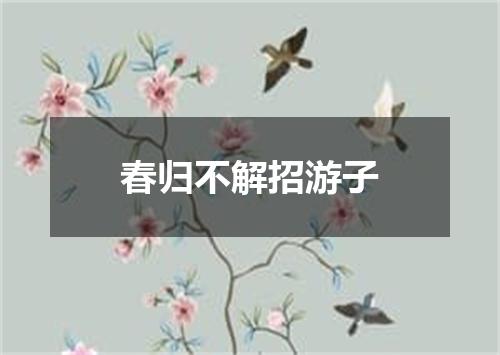 春归不解招游子